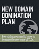Thumbnail Domain Domination PLR E-Book +Squeeze Page + Bonus