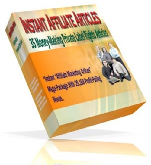 Product picture 32 Instant Affiliate Marketing PLR Articles + Website +Bonus