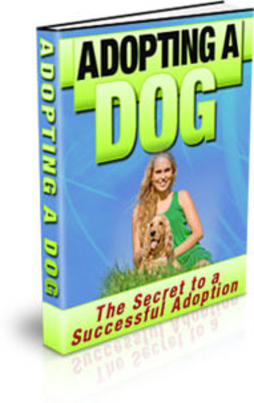 Product picture Adopting A Dog PLR E-book + Website + Bonus