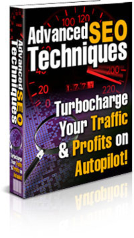 Product picture Advanced SEO Techniques PLR E-book + Website + Bonus