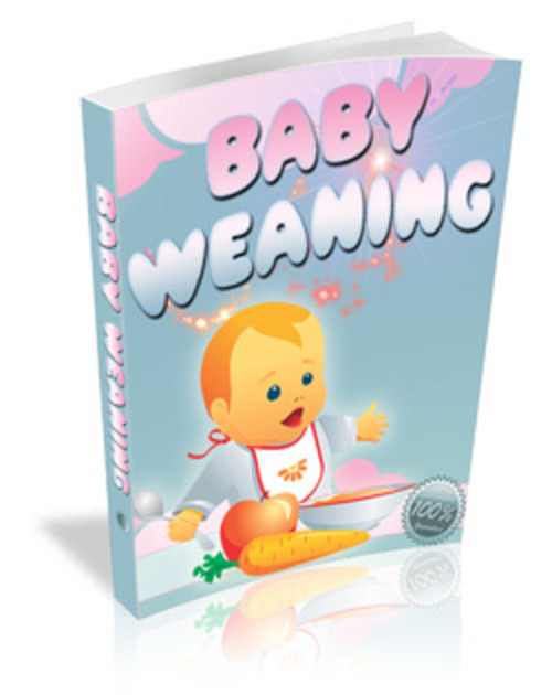Product picture Baby Weaning MRR E-Book + Website + Bonus