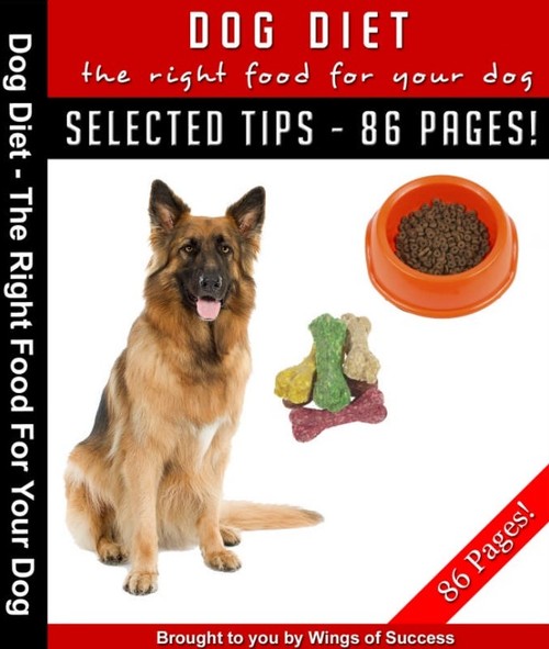 Product picture Right Food For Your Dog MRR E-Book + Bonus