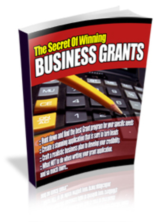Product picture Apply for Business Grants MRR E-Book + Website + Bonus