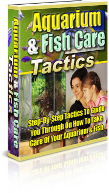 Product picture Fish Care Tactics MRR E-Book + Website + Bonus