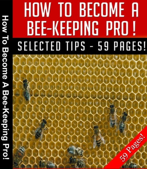 Product picture Bee Keeping Pro MRR E-Book  + Bonus