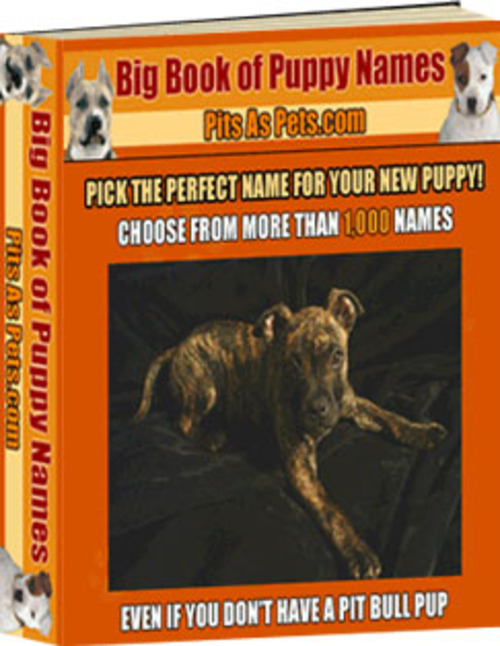 Product picture Big Book Of Puppy Names MRR E-Book + Website + Bonus