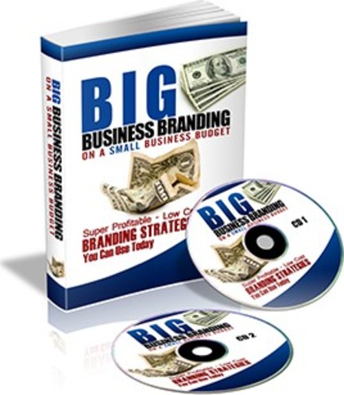 Product picture Big Business Branding MRR E-Book + Website + Bonus