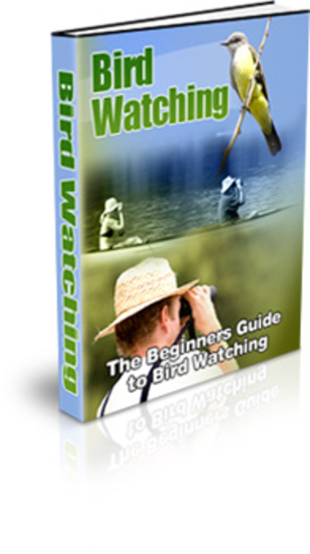 Product picture Bird Watching MRR E-Book + Website + Bonus