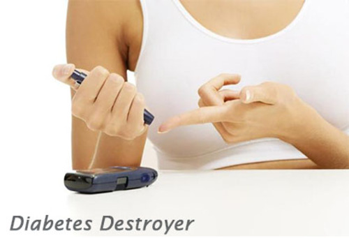 Product picture Diabetes Destroyer Nich Pak PLR + Bonus Software