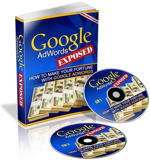 Product picture Google AdWords Exposed PLR Ebook + Bonus Software