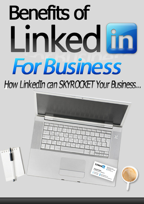 Product picture LinkedIn Biz-In-A-Box MRR PLR Audio,Video,Ebook, + Bonus
