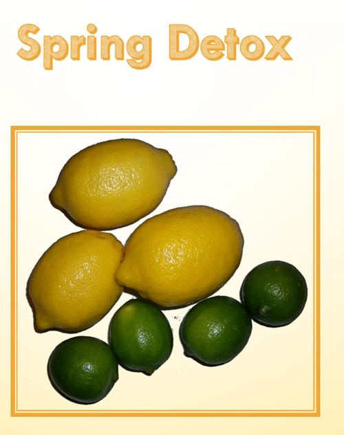 Product picture Spring Detox PLR Articles, Quotes, Tweets + Bonus